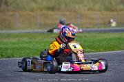 DSC_ (1354)